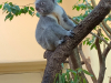 img-0369